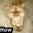 A static image of a light brown, pixelated, cartoonish creature with a star on its chest, surrounded by text fragments.