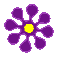 A purple flower with yellow center shrinks into a dotted circle, then expands back to full size with petals.