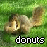 A squirrel lies on green grass with the word 'donuts' below it, showing animation changes in text color and slight movement.