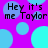 Pixelated text 'Hey it's me Taylor' repeated across a purple background with overlapping cyan and blue circles.