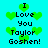 Pixelated cyan background with green heart shapes and black text reading "I Love You Taylor Goshen!" in two identical vertical