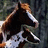 Pixelated horse head image with green background and white text reading 'me and mini me' and 'horse love' alongside six white arrow symbols.