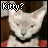 iconhell_ryan_is_my_god7_kitty