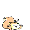 A cartoon squirrel with a peach-colored tail and yellow face appears in six distinct poses showing varied expressions.
