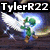 A four- with text overlays: top-left shows a green character with wings, top-right displays 'is', bottom-left features a dog, bottom-right shows a panda, and bottom displays 'AWESOME'