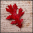 Red coral-like shape with multiple branching arms on a light brown pixelated background.