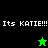 Pixelated graphic with text "Its KATIE!!!" repeated across four quadrants, featuring a green star and black star in different sections.