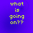 Four identical display yellow pixelated text 'what is going on??' against a solid purple background