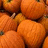 A static image shows a cluster of orange pumpkins on the left, with pixelated text reading "PICK The PUMKINS" in orange letters against a black background.