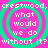 Pixelated text on a pink background with green concentric circles, repeating 'crestedwood, what would we do without it?' in a pattern