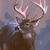 A static image with three animal above a blue text block reading "There's room for all of God's creatures right next to the mashed potatoes!"