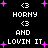 Pixelated text and symbols on black background with pink stars, displaying 'HORNY AND LOVIN IT' with heart symbols.