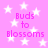 A static image with a pink background featuring white stars and repeated text "Buds to Blossoms" in purple pixelated font.
