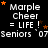 Black background with white text reading "Marple Cheer = LIFE!" and "Seniors '07", orange stars scattered across the image.