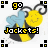 Pixelated bee icon with yellow and black stripes, blue wings, and a smiling face, featuring 'go' text above and 'Jackets!' text below.