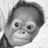 A split- image with a grayscale monkey photo on the left and light blue background text on the right, displaying pixelated white text