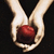 Two hands cupped together holding a red spherical object against a dark background.
