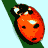 Pixelated orange ladybug with black spots and white highlights on a light blue background, positioned diagonally on a green stem.