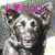 Four dog-themed pixel art with 'i ❤️ dogs' text in different colors, each showing a distinct dog expression and color scheme