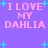 Pixelated text "I LOVE MY DAHLIA" in pink on purple background with cyan stars, animated to shift position.