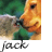 A static image of a cartoon giraffe's face with green foliage background, featuring text labels below.