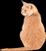 Animated sequence of a light brown cat sitting with tail extended, turning head from left to right
