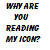 Pixelated text in four lines reads 'WHY ARE YOU READING MY HOME' on a white background with multicolored blocky pixels.