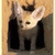 A small animated icon shows a light-colored fox-like creature with large ears and dark eyes, standing against a textured brown background.