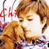 Animated contact sheet showing six frames of a person with short brown hair holding a dog, with text and paw print effects changing across frames.
