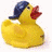 A yellow rubber duck wearing a blue cap with red beak and black eyes, positioned next to pixelated text reading 'Who knew ducks could be so COOL?' on dark background.