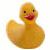 A static contact sheet of a rubber ducky-themed animated icon with yellow background and orange text elements arranged in a 4x3 grid, featuring a small duck image on the top-left corner.