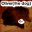 A four- shows a brown dog with a white paw print icon, text changes across reading "[Chewy] (no dog)", "he is soo", and "CUTE!!:-)"