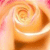 A pixelated close-up of a light orange rose with soft pink accents, showing layered petals and a blurred background.