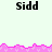 Pixelated text 'Sidd' appears in multiple positions on a light background with pink jagged borders.