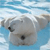 Animals icons for AIM, MSN, MySpace and Yahoo