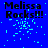 Blue background with black text "Melissa Rocks!!!" and scattered cyan pixel clusters, some frames showing a gray rectangle on the right.