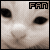 Four pixelated show a cat's face with 'FAN' text above each, displaying subtle expression changes across the sequence