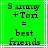 Green background with black pixelated text reading 'Sammy + Tori = best friends' in a