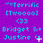 Purple background with cyan text displaying "*Terrific [Twooo] <33 Bridget &+ Justine (=" in three , where the equals sign alternates between a plus and minus symbol across observations
