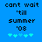 Blue background with black pixelated text reading 'cant wait 'till summer '08' and five cyan plus signs below, where the third sign changes from light to dark cyan between frames.