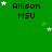 Green background with repeated 'Allison MSU' text and white stars in various positions across the