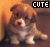Pixelated image of a small dog with light brown and white fur sitting against an orange-brown gradient background, with the word 'CUTE' in black-and-white pixel art text at top-right.