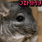 A pixelated chinchilla face with 'JIMMY' text in different colors across four