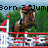 Pixelated image of a rider on horseback jumping over red-and-white striped obstacle with green background and partial text 'Born 2 Jump' visible.