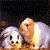 Two pixelated rabbits sit side-by-side on a brown surface against a dark background, with green text reading 'Original Icons .com' to the right.