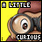 A yellow background with a brown-haired character wearing glasses and the word 'CURIOUS' below, showing animation changes in text color and eye reflection.