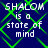 Blue background with green diamond-shaped lines forming a pattern, overlaid with white text reading "SHALOM is a state of mind" in four identical sections