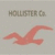 Pixelated static image shows 'HOLLISTER Co.' text above a red seagull silhouette on light gray background with scattered colored pixels.