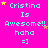 A bright pink background displays repeated text 'Cristina Is Awesome!! haha =]' with yellow stars scattered around, some text variations, and a gray rectangle in the bottom-right corner.