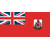 Static 50x50 pixel icon depicting a red flag with Union Jack quadrants on left and shield emblem on right, rendered in low-resolution pixel art style.